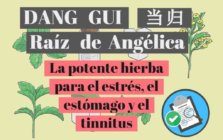 Raíz de angélica o hierba china Dang Gui