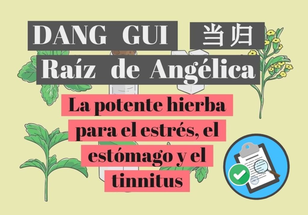 Raíz de angélica o hierba china Dang Gui